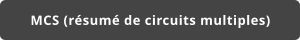 MCS (résumé de circuits multiples)